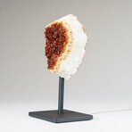 Genuine Citrine Quartz Crystal Cluster on Metal Stand // 7.75" // 3 lbs