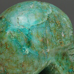 Genuine Polished Chrysocolla Skull Carving from Peru // 0.6 lbs