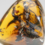 Amber from Baltic Sea, near Gdansk, Poland // 16.8 grams