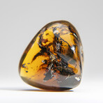 Amber from Baltic Sea, near Gdansk, Poland // 16.8 grams