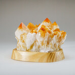 Genuine Citrine Quartz Crystal Cluster on Custom Wooden Stand // 13.4 lbs