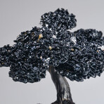 Large Black Tourmaline Clustered Gemstone Tree on Amethyst Matrix // The Cleansing Tree