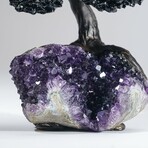 Large Black Tourmaline Clustered Gemstone Tree on Amethyst Matrix // The Cleansing Tree