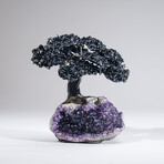 Large Black Tourmaline Clustered Gemstone Tree on Amethyst Matrix // The Cleansing Tree