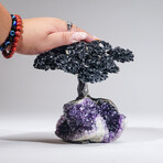 Large Black Tourmaline Clustered Gemstone Tree on Amethyst Matrix // The Cleansing Tree