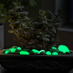 Glow in the Dark Pebbles // Green // 1lb