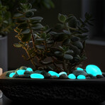 Glow in the Dark Pebbles // Aqua // 1lb