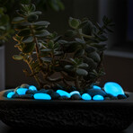 Glow in the Dark Pebbles // Blue // 1lb