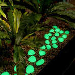 Glow in the Dark Pebbles // Green // 1lb