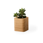 Cubic Pot (Oak)