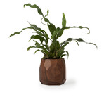 Geometric Pot (Oak)