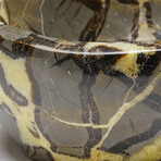 Genuine Polished Septarian Bowl from Madagascar // 4.4 lbs