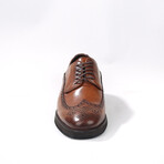 Brogue Dress Shoe // Tobacco (Euro: 41)