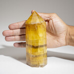 Genuine Polished Yellow Fluorite Point from Argentina // 2 lbs