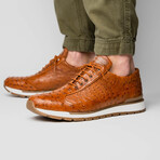 Scanno // Ostrich Leather Sneakers // Cognac (US: 11.5)