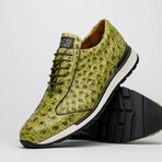 Scanno // Ostrich Leather Sneakers // Antique Green (US: 10)