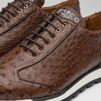 Scanno // Ostrich Leather Sneakers //  Brown (US: 9.5)