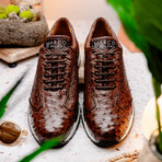 Scanno // Ostrich Leather Sneakers //  Brown (US: 10)