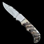 6.5" Damascus Pocket Knife // Handmade Ram Horn Handle