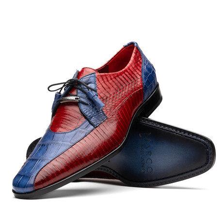 Moncalieri // Alligator Leather Oxford Shoes // Navy - Red (US: 8)