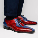 Moncalieri // Alligator Leather Oxford Shoes // Navy - Red (US: 8.5)