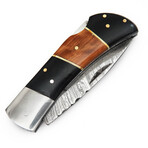 American Folding Pocket Knife // Buffalo Horn