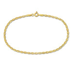 Men's 2mm Valentino Star Bracelet in 10k Yellow Gold // 9 in