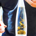 Colorful Ferrofluid Rocket Lamp // Gold