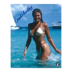 Christie Brinkley // Autographed 8X10 Photo