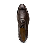 John // Caiman & Calf Leather Oxford Shoes // Brown (US: 9.5)