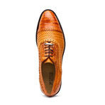 John // Caiman & Calf Leather Oxford Shoes // Brandy (US: 7)