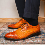 John // Caiman & Calf Leather Oxford Shoes // Brandy (US: 7)