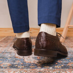 John // Caiman & Calf Leather Oxford Shoes // Brown (US: 9.5)