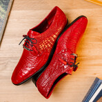 Fitipaldi // Alligator Leather Derby Shoes // Red (US: 8.5)