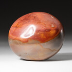 Genuine Polished Polychrome Jasper Palm Stone with Black Velvet Pouch // Small