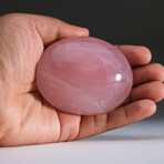 Genuine Polished Rose Quartz Palm Stone // Medium