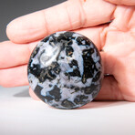 Genuine Polished Indigo Gabbro Palm Stone with Black Velvet Pouch