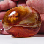 Genuine Polished Polychrome Jasper Palm Stone with Velvet Pouch // Large