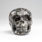 Genuine Polished Rhyolite Skull Carving // 132.2 g