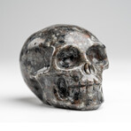 Genuine Polished Rhyolite Skull Carving // 132.2 g