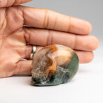 Genuine Polished Bloodstone Skull Carving // 136.9 g