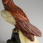 Genuine Polished Hand Carved Bird on a Tree Base // 1.3 lbs