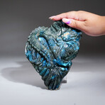 Genuine Polished Labradorite Hand Carved Dragon // 2.2 lbs // v.1