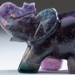 Genuine Purple Rainbow Fluorite Elephant Carving // 193.9 g