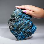 Genuine Polished Labradorite Hand Carved Dragon // 1.9 lbs