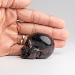 Genuine Polished Garnet and Biotite Skull Carving // 141.1 g