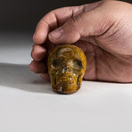 Genuine Polished Jasper Skull Carving  // 117.8  g