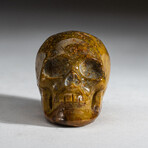 Genuine Polished Jasper Skull Carving  // 117.8  g