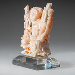 Genuine Angel Skin Coral Hand Carving Rose and Immortals // 159.2g