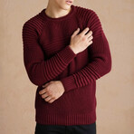 Crewneck Patterned Knit Sweater // Burgundy (M)